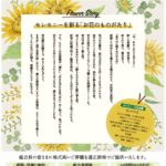 生活協同組合パルシテム東京 palsystemのお葬式 夕凪葬 葬儀チラシ 2020年8月企画