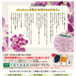 生活協同組合パルシテム東京 palsystemのお葬式 夕凪葬 葬儀チラシ 2020年9月企画