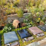 樹木葬完全ガイド：費用・選び方・メリットを徹底解説