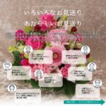 2022年11月企画